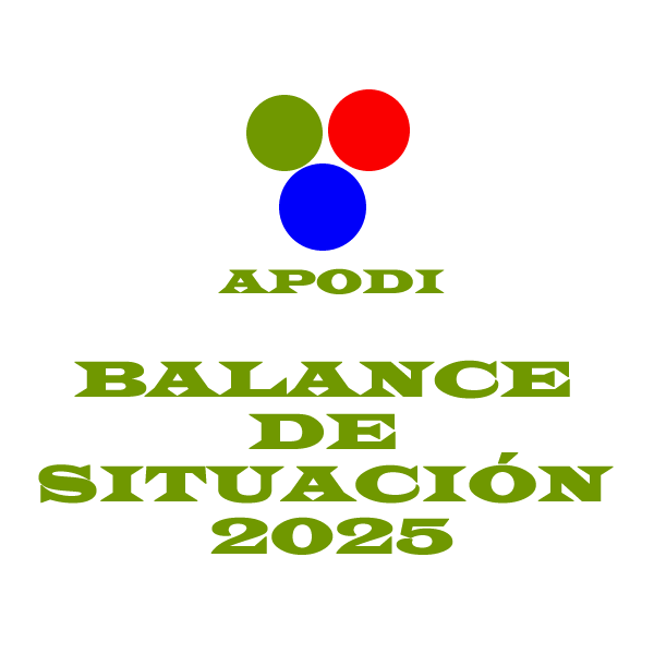 Balance situacion 2025
