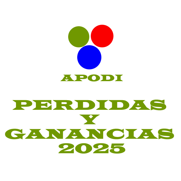 Perdidas Ganacias 2025